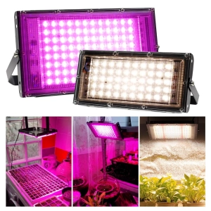 den-led-uv
