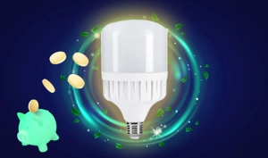 den-led-rang-dong-50w-2