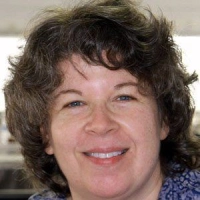 Meg Wolitzer