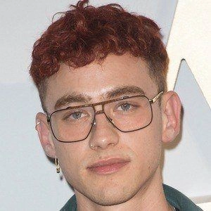 alexander-olly-image
