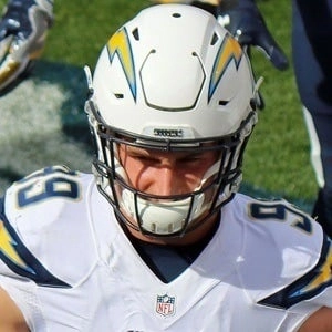 bosa-joey-image