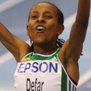 defar-meseret-image