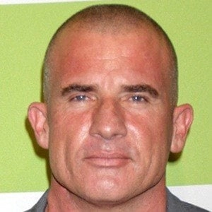 dominic-purcell-6