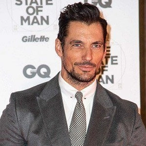 gandy-david-image