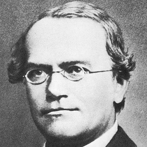 gregor-mendel-1