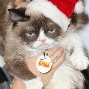 grumpy-cat-2