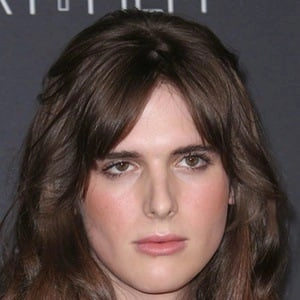 hari-nef-4