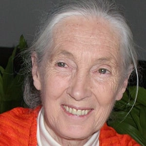 jane-goodall-6