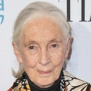 jane-goodall-8