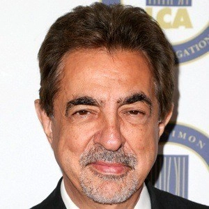 joe-mantegna-6