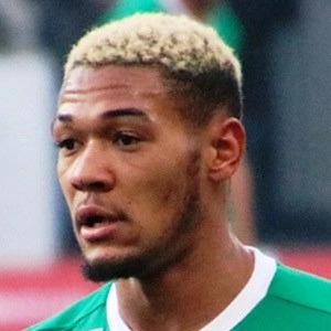 joelinton-image