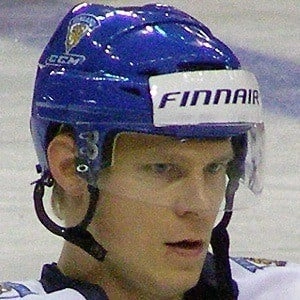 koivu-mikko-image