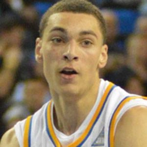 lavine-zach-image