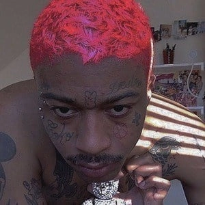 lil-tracy-6