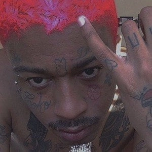 lil-tracy-7