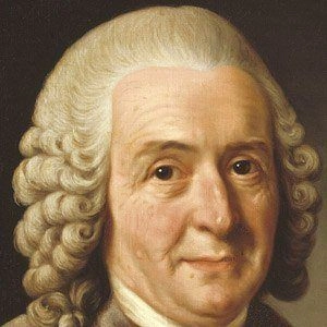 linnaeus-carl-image