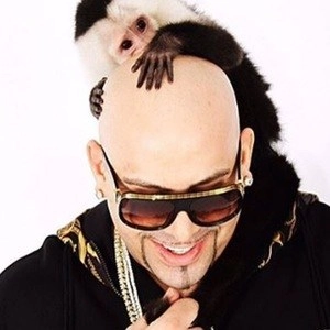 mally-mall-3