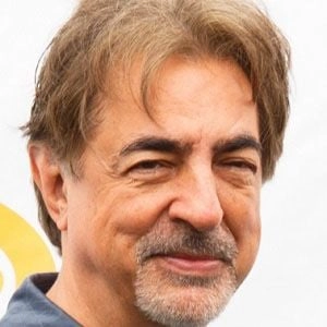 mantegna-joe-image