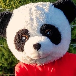 panda-aventurero-1