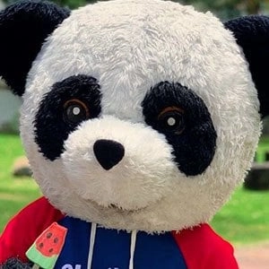 panda-aventurero-3