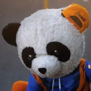 panda-aventurero-5