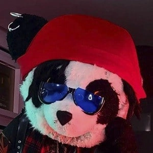 panda-aventurero-8