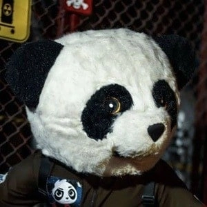 panda-aventurero-image