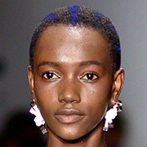 paul-herieth-image