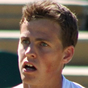 pospisil-vasek-image