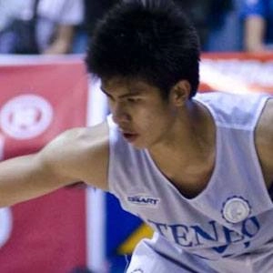 ravena-kiefer-image