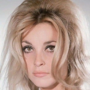 sharon-tate-1