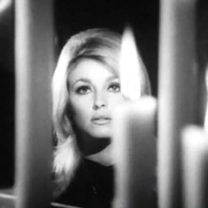 sharon-tate-3