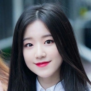 shuhua-ye-image