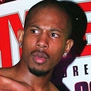 shyne-image