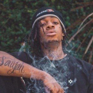 thouxanbanfauni-4