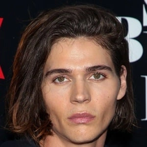 will-peltz-3