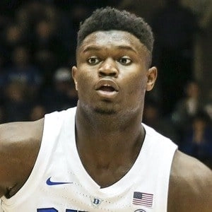 williamson-zion-image