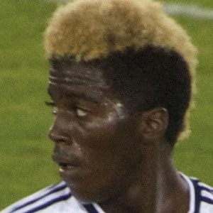 zardes-gyasi-image