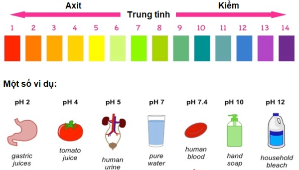 do-ph-cua-nuoc