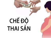 che-do-thai-san