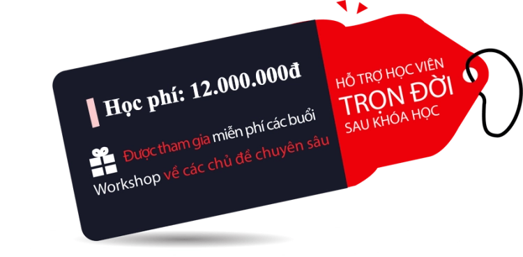 khoa-hoc-dipifr-online-voucher