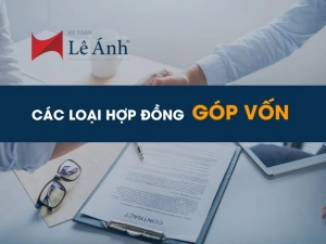 cac-loai-hop-dong-gop-von-min