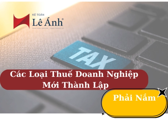 cac-loai-thue-ma-doanh-nghiep-moi-thanh-lap-phai-nam-min