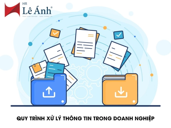 Quy Trình Xử Lý Thông Tin: Hướng Dẫn Chi Tiết và Các Bước Quan Trọng