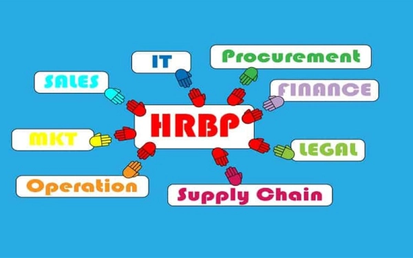 TOP 10 SỰ THẬT THÚ VỊ VỀ HRBP  Link Power