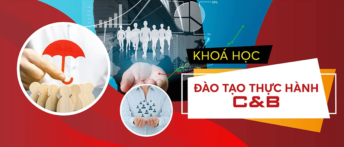 Khóa học C&B cho người mới bắt đầu