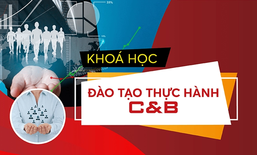 Khóa học C&B (Tiền lương và phúc lợi) chuyên sâu