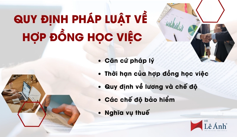 quy-dinh-phap-luat-ve-hop-dong-hoc-viec