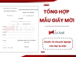 Tổng Hợp Mẫu Giấy Mời Chuẩn Và Chuyên Nghiệp Cho Mọi Sự Kiện