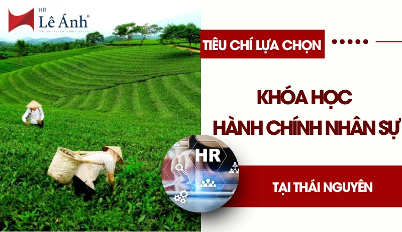 Tiêu chí chọn khóa học hành chính nhân sự chất lượng tại Thái Nguyên